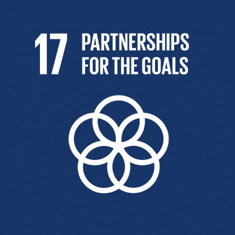 Partnerships for the goals